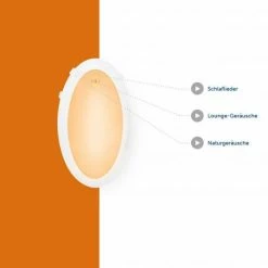 ZAZU Kuscheltier-Nachtlicht mit Musik - Max der Affe -Günstiges Babyspielzeug Geschäft zazu kuscheltier nachtlicht mit musik max der affe 14 1070092 d3